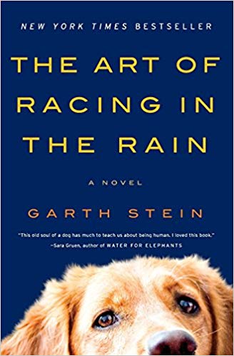 The Art of Racing in the Rain Audiobook Online