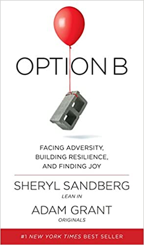 Facing Adversity, Building Resilience, and Finding Joy Audio Book